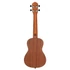 Ortega RU5 koncert ukulele