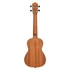 Ortega RU5MM koncert ukulele