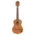 Ortega RU5MM-TE tenor ukulele