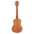 Ortega RU5MM-TE tenor ukulele